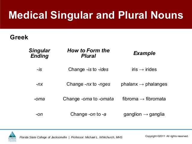 ch01 in open campus_2013_wo_questions singular form of ganglia