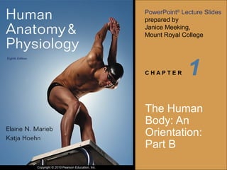 PowerPoint® Lecture Slides 
prepared by 
Janice Meeking, 
Mount Royal College 
C H A P T E R 
Copyright © 2010 Pearson Education, Inc. 
1 
The Human 
Body: An 
Orientation: 
Part B 
 