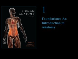 © 2012 Pearson Education, Inc.
1
Foundations: An
Introduction to
Anatomy
PowerPoint®
Lecture Presentations prepared by
Steven Bassett
Southeast Community College
Lincoln, Nebraska
 