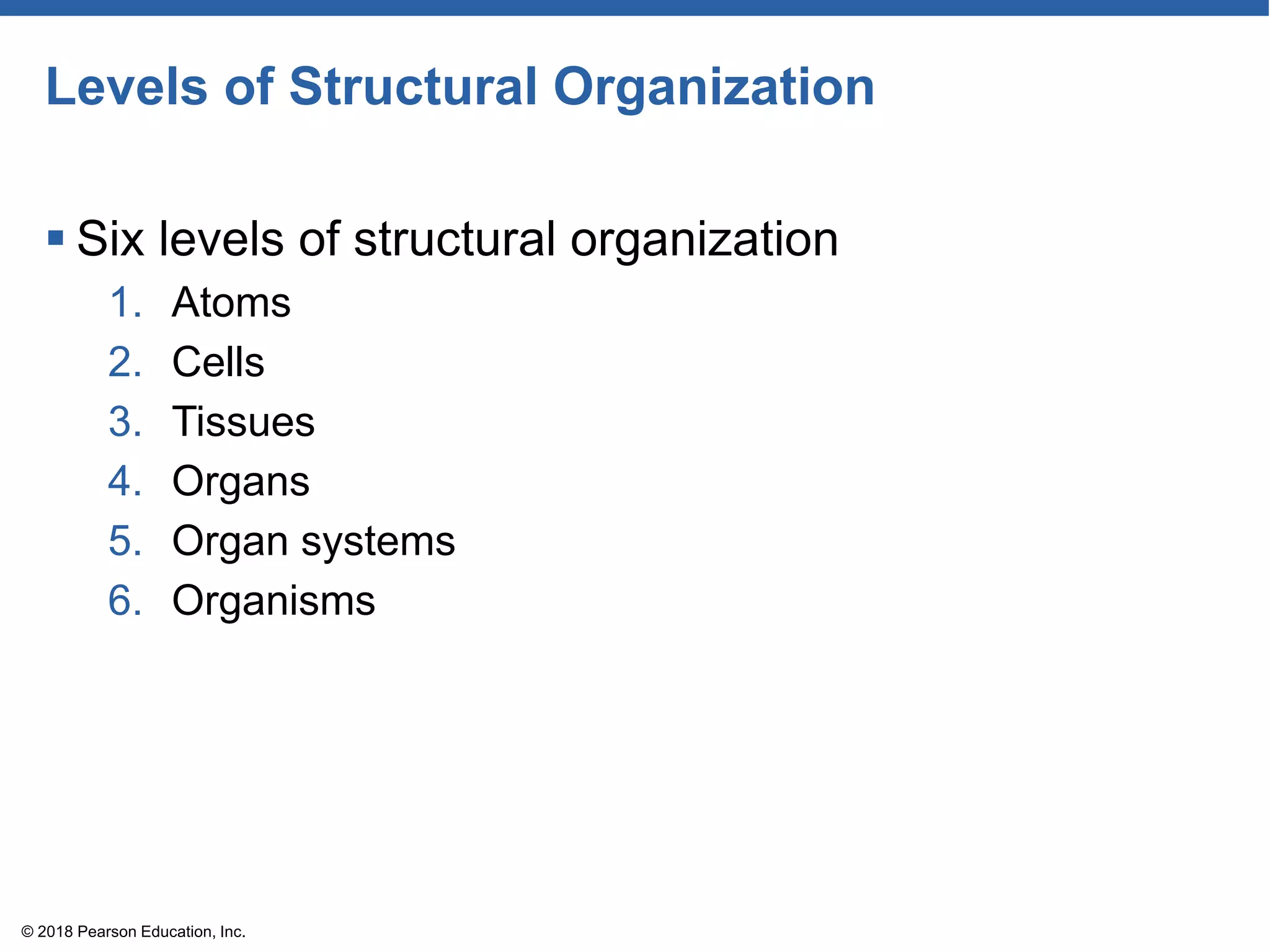 Levels of Structural Organization
 Six levels of structural organization
1. Atoms
2. Cells
3. Tissues
4. Organs
5. Organ systems
6. Organisms
© 2018 Pearson Education, Inc.
 