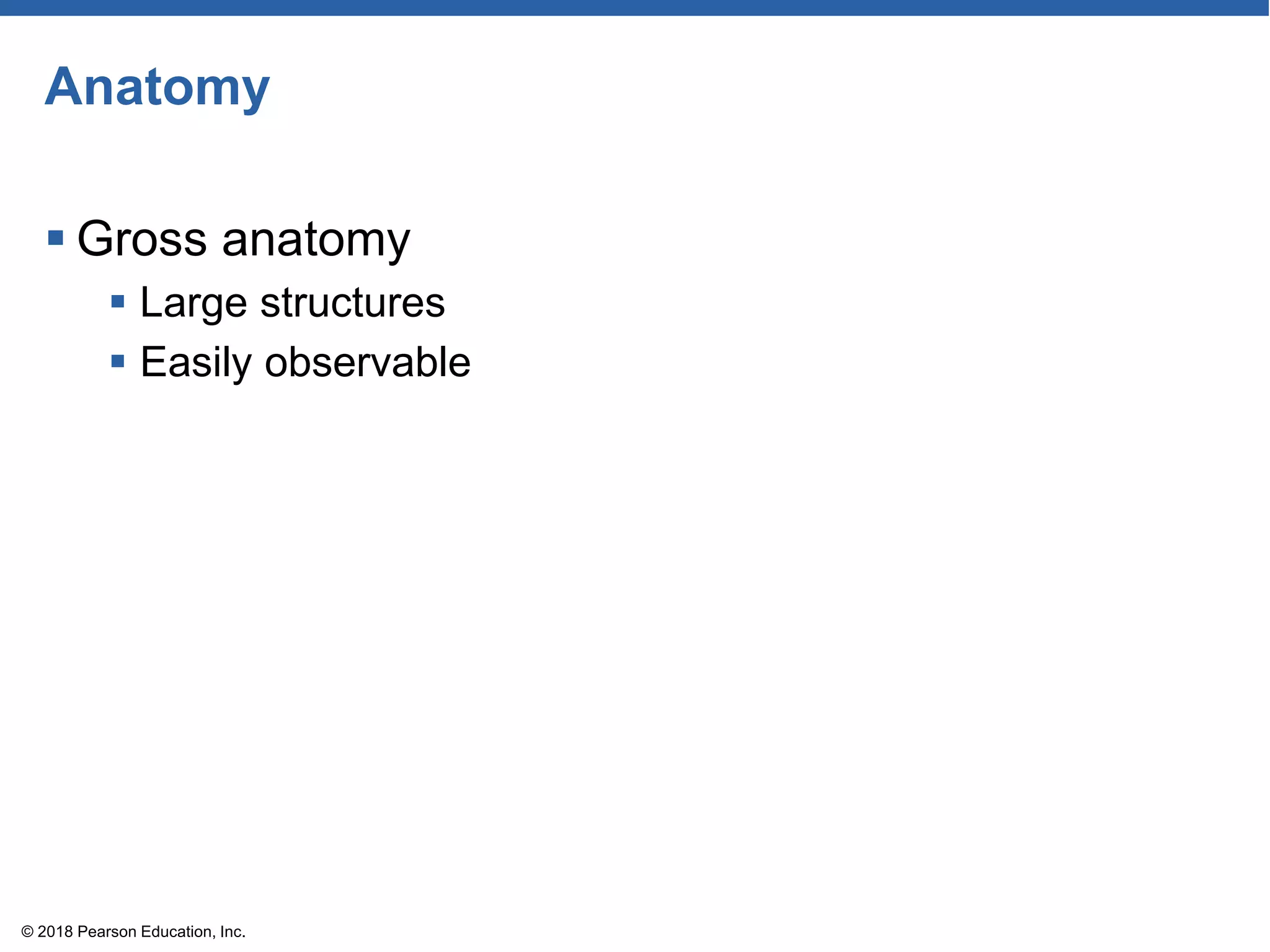 Anatomy
 Gross anatomy
 Large structures
 Easily observable
© 2018 Pearson Education, Inc.
 
