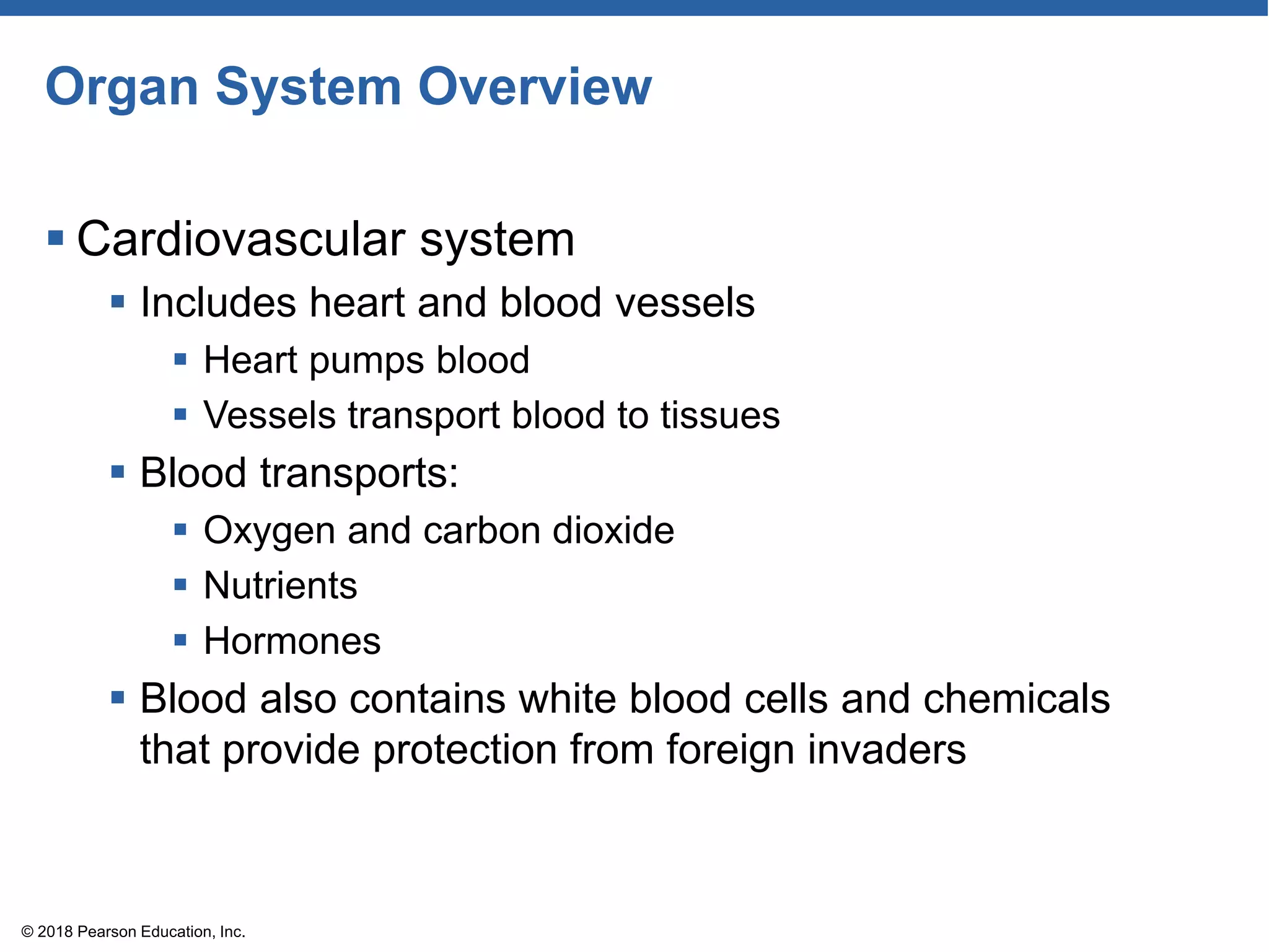 Organ System Overview
 Cardiovascular system
 Includes heart and blood vessels
 Heart pumps blood
 Vessels transport blood to tissues
 Blood transports:
 Oxygen and carbon dioxide
 Nutrients
 Hormones
 Blood also contains white blood cells and chemicals
that provide protection from foreign invaders
© 2018 Pearson Education, Inc.
 