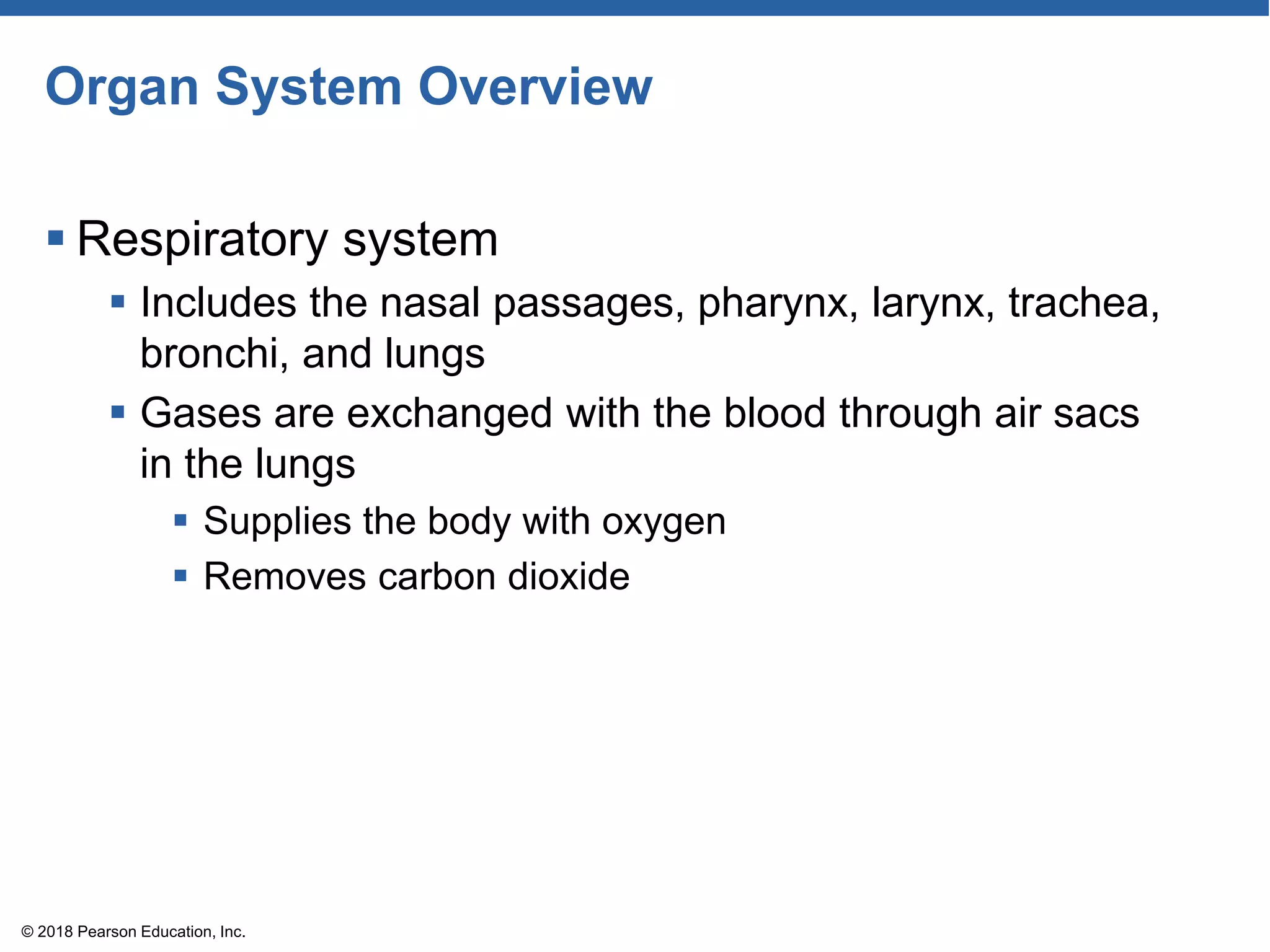 Organ System Overview
 Respiratory system
 Includes the nasal passages, pharynx, larynx, trachea,
bronchi, and lungs
 Gases are exchanged with the blood through air sacs
in the lungs
 Supplies the body with oxygen
 Removes carbon dioxide
© 2018 Pearson Education, Inc.
 