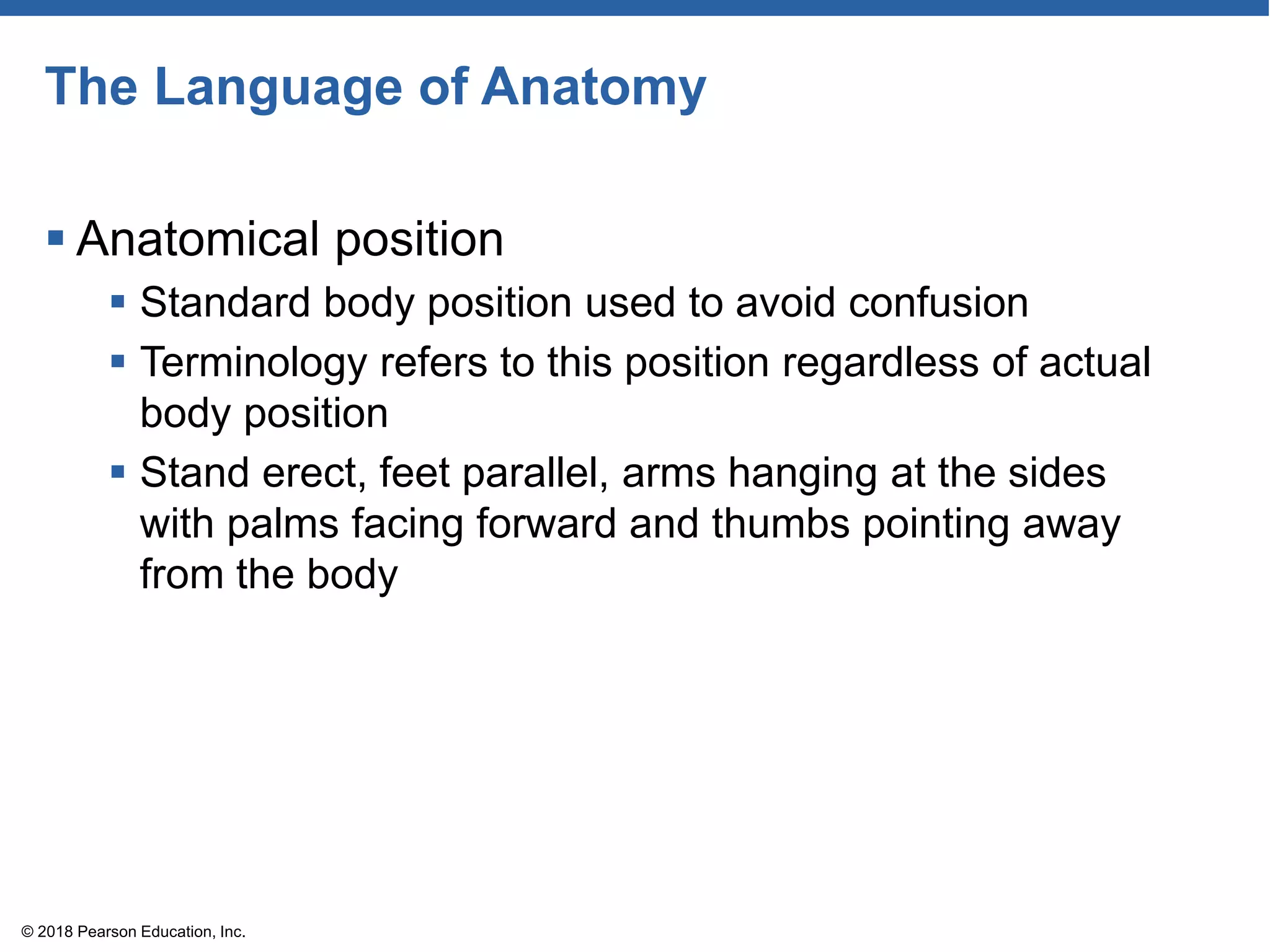 The Language of Anatomy
 Anatomical position
 Standard body position used to avoid confusion
 Terminology refers to this position regardless of actual
body position
 Stand erect, feet parallel, arms hanging at the sides
with palms facing forward and thumbs pointing away
from the body
© 2018 Pearson Education, Inc.
 