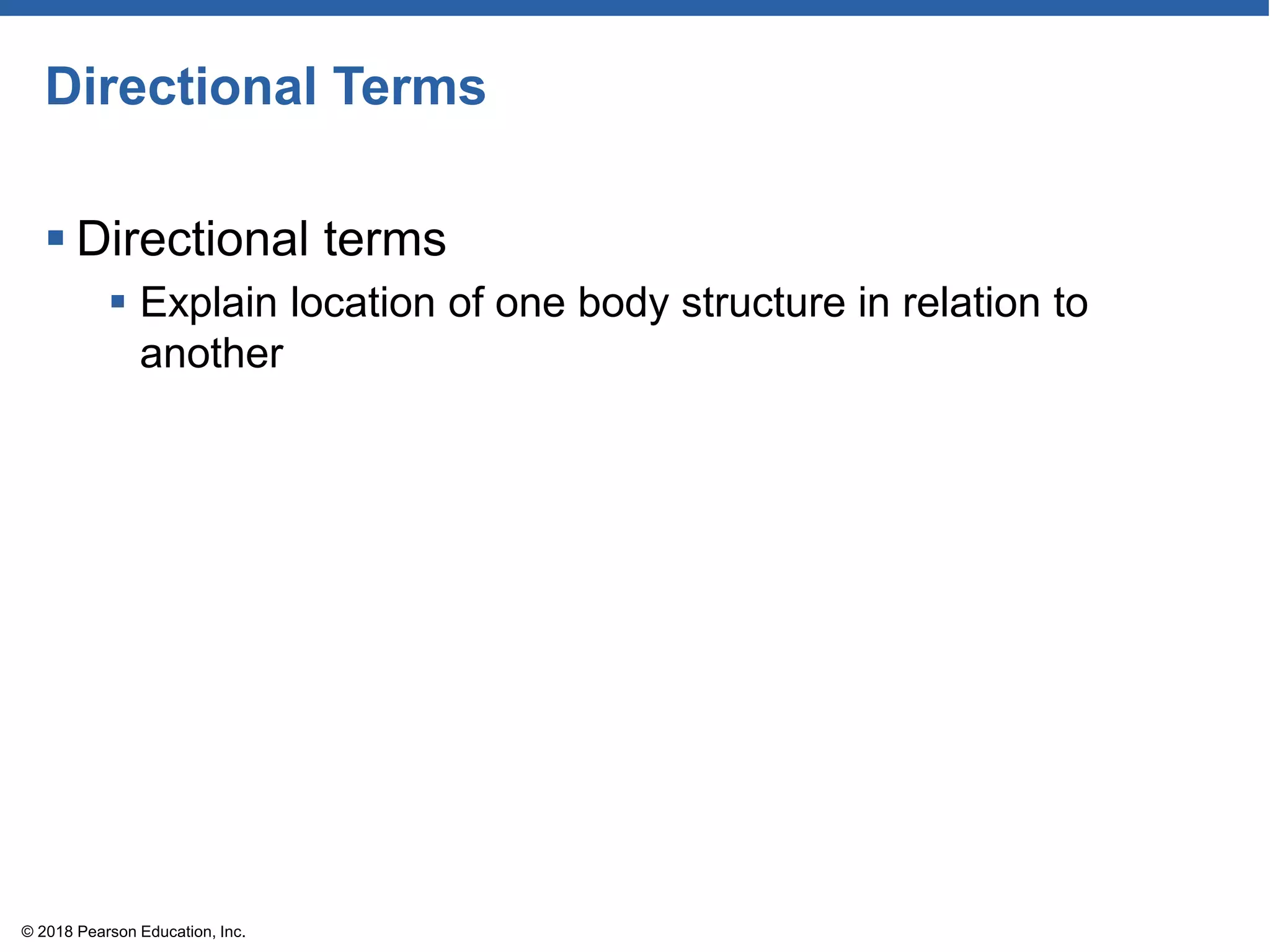 Directional Terms
 Directional terms
 Explain location of one body structure in relation to
another
© 2018 Pearson Education, Inc.
 