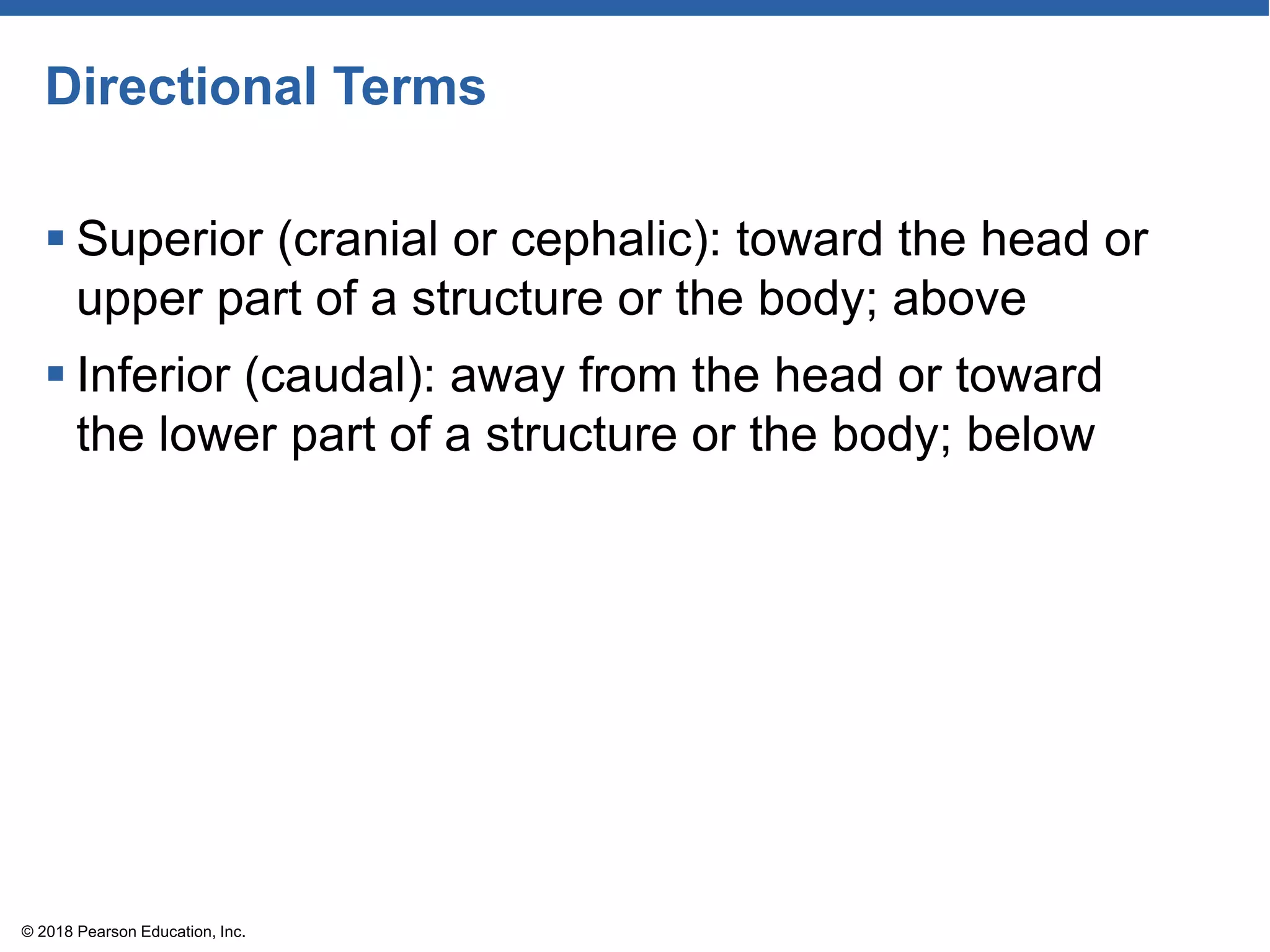 Directional Terms
 Superior (cranial or cephalic): toward the head or
upper part of a structure or the body; above
 Inferior (caudal): away from the head or toward
the lower part of a structure or the body; below
© 2018 Pearson Education, Inc.
 