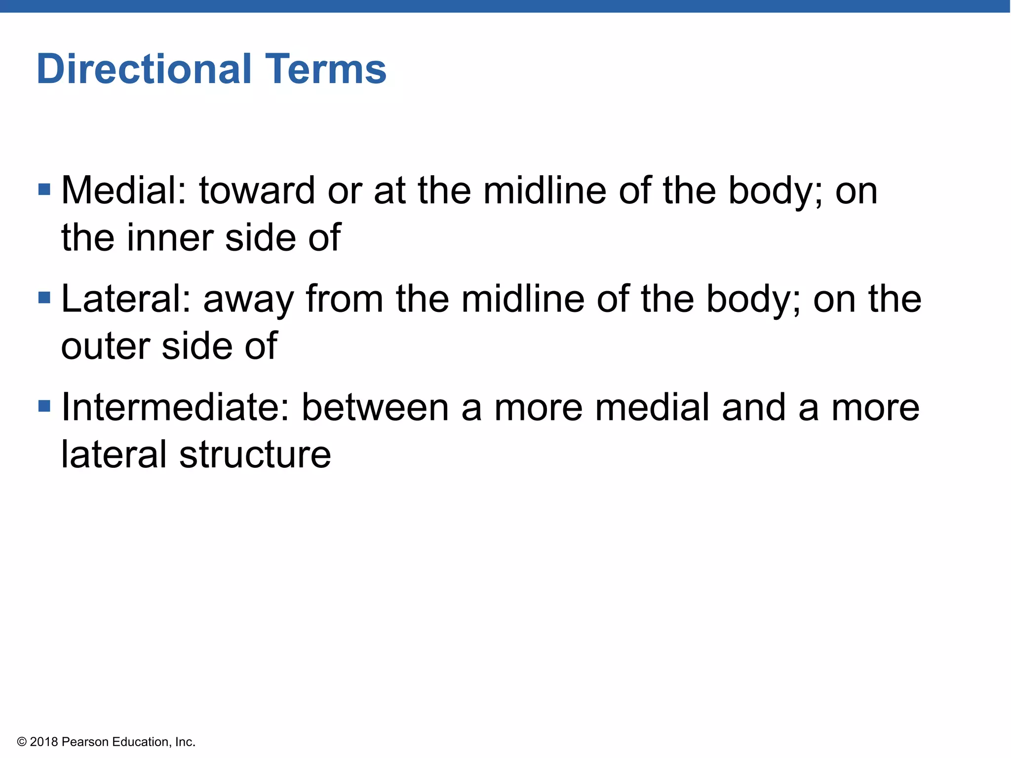 Directional Terms
 Medial: toward or at the midline of the body; on
the inner side of
 Lateral: away from the midline of the body; on the
outer side of
 Intermediate: between a more medial and a more
lateral structure
© 2018 Pearson Education, Inc.
 