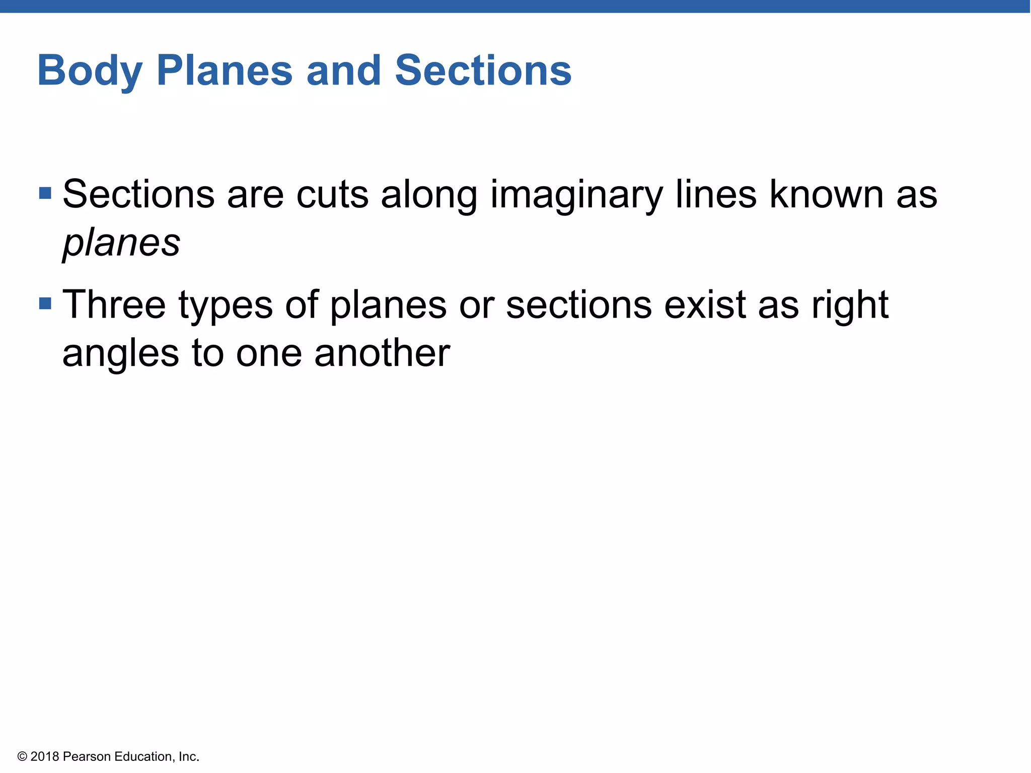 Body Planes and Sections
 Sections are cuts along imaginary lines known as
planes
 Three types of planes or sections exist as right
angles to one another
© 2018 Pearson Education, Inc.
 