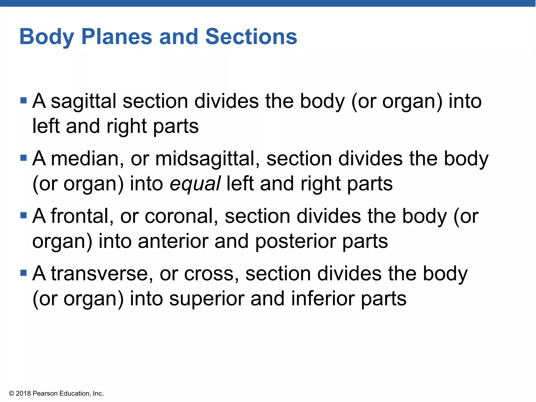 Body Planes and Sections
 A sagittal section divides the body (or organ) into
left and right parts
 A median, or midsagittal, section divides the body
(or organ) into equal left and right parts
 A frontal, or coronal, section divides the body (or
organ) into anterior and posterior parts
 A transverse, or cross, section divides the body
(or organ) into superior and inferior parts
© 2018 Pearson Education, Inc.
 