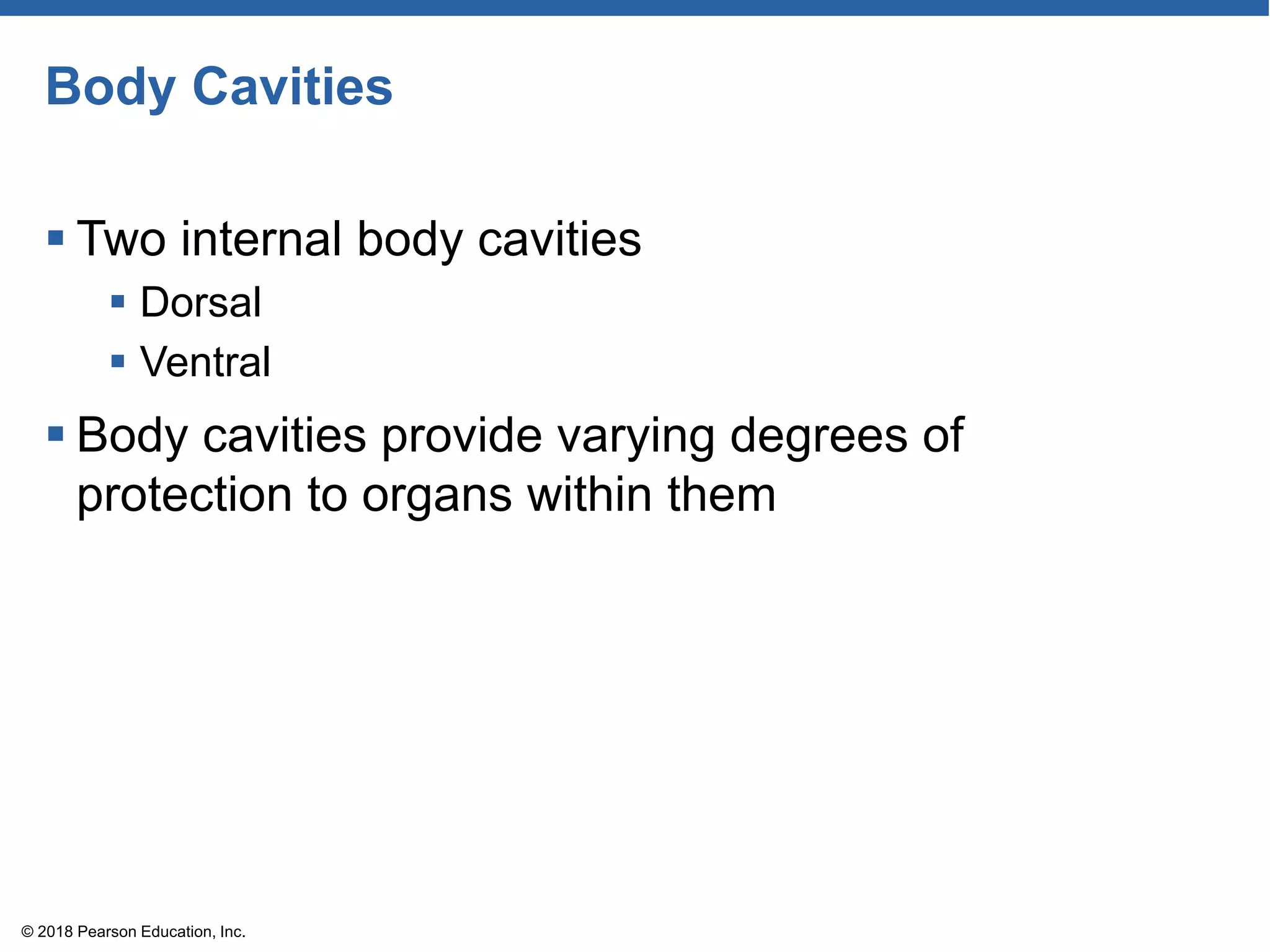 Body Cavities
 Two internal body cavities
 Dorsal
 Ventral
 Body cavities provide varying degrees of
protection to organs within them
© 2018 Pearson Education, Inc.
 