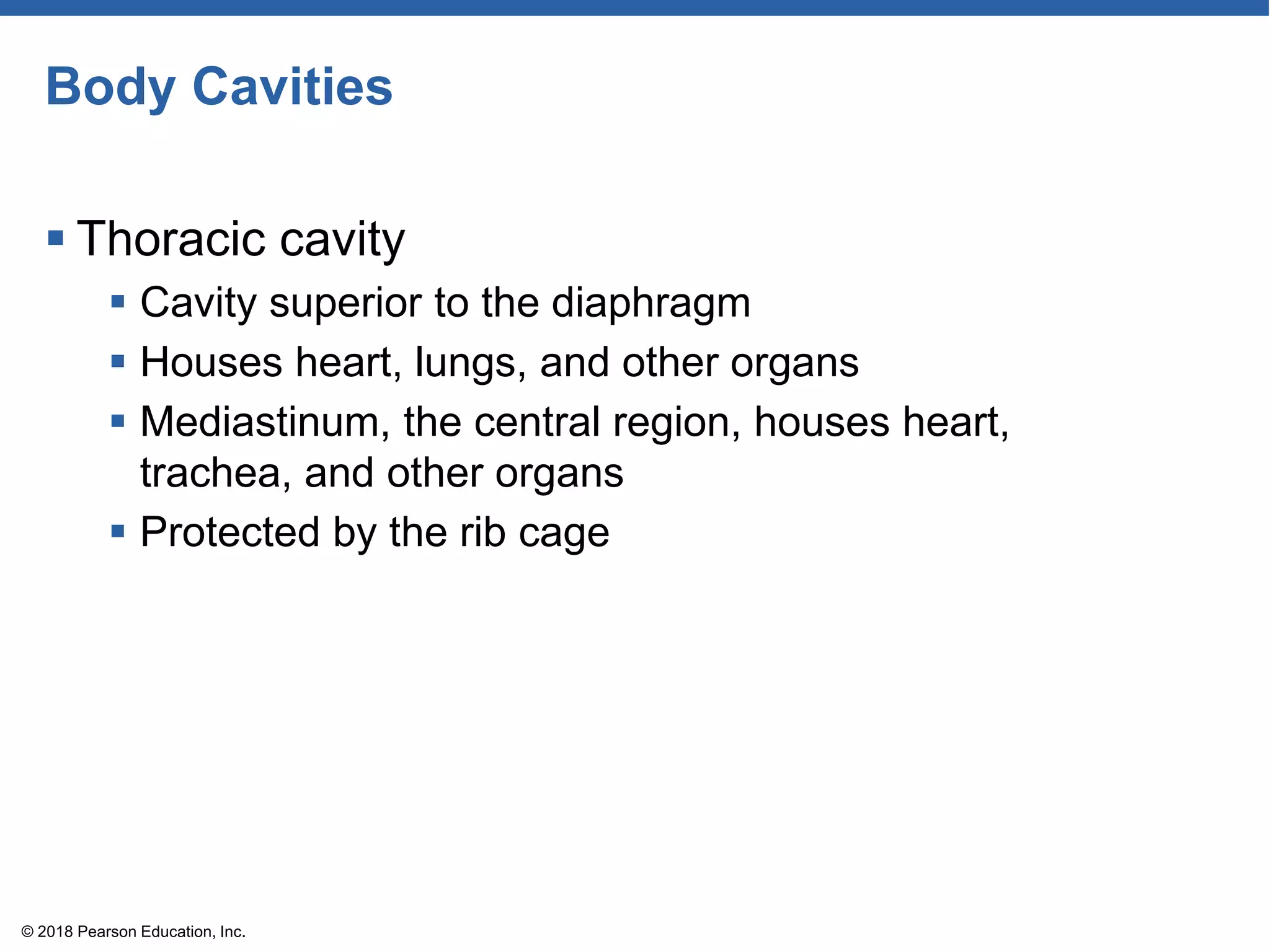 Body Cavities
 Thoracic cavity
 Cavity superior to the diaphragm
 Houses heart, lungs, and other organs
 Mediastinum, the central region, houses heart,
trachea, and other organs
 Protected by the rib cage
© 2018 Pearson Education, Inc.
 