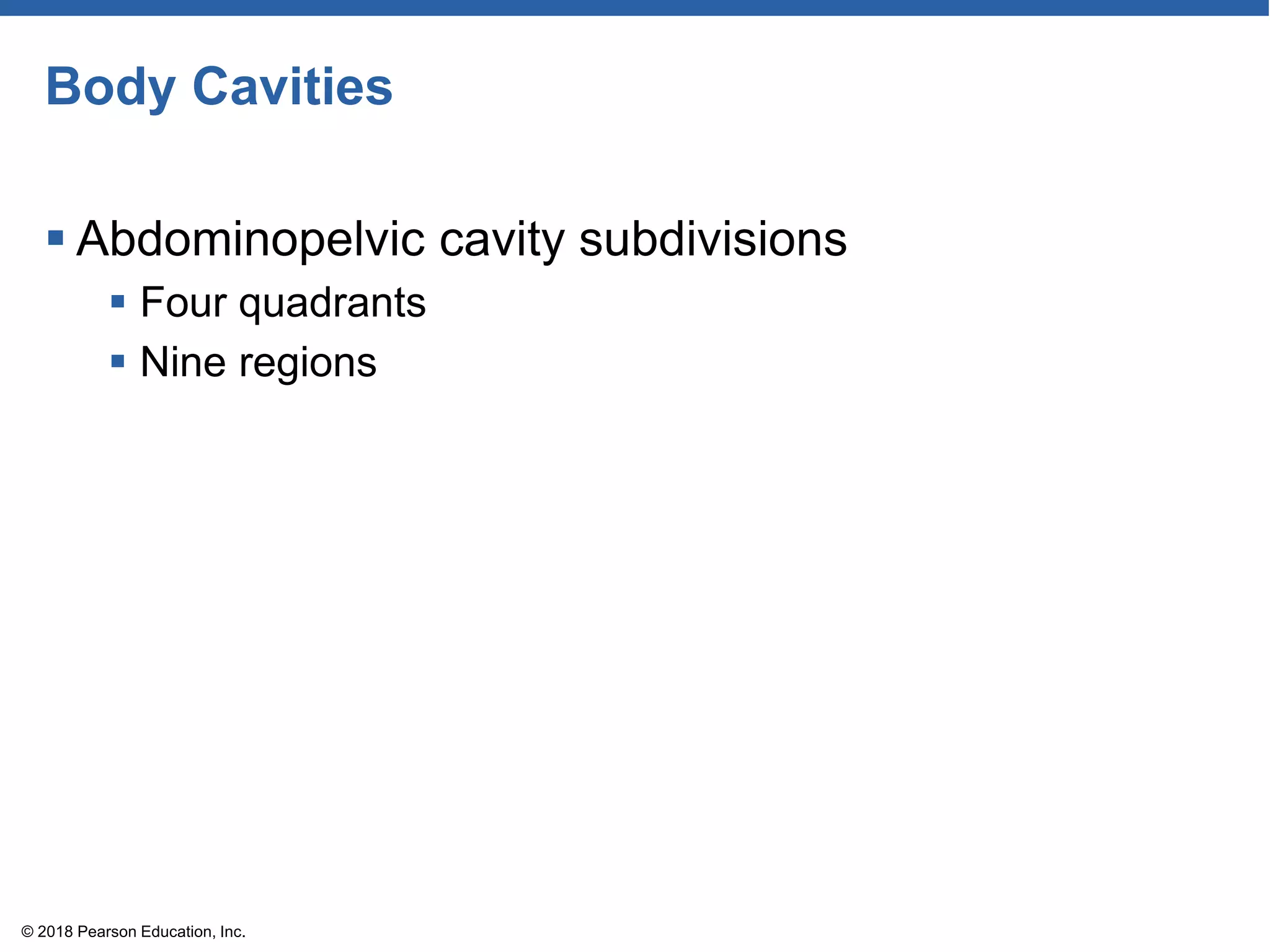 Body Cavities
 Abdominopelvic cavity subdivisions
 Four quadrants
 Nine regions
© 2018 Pearson Education, Inc.
 