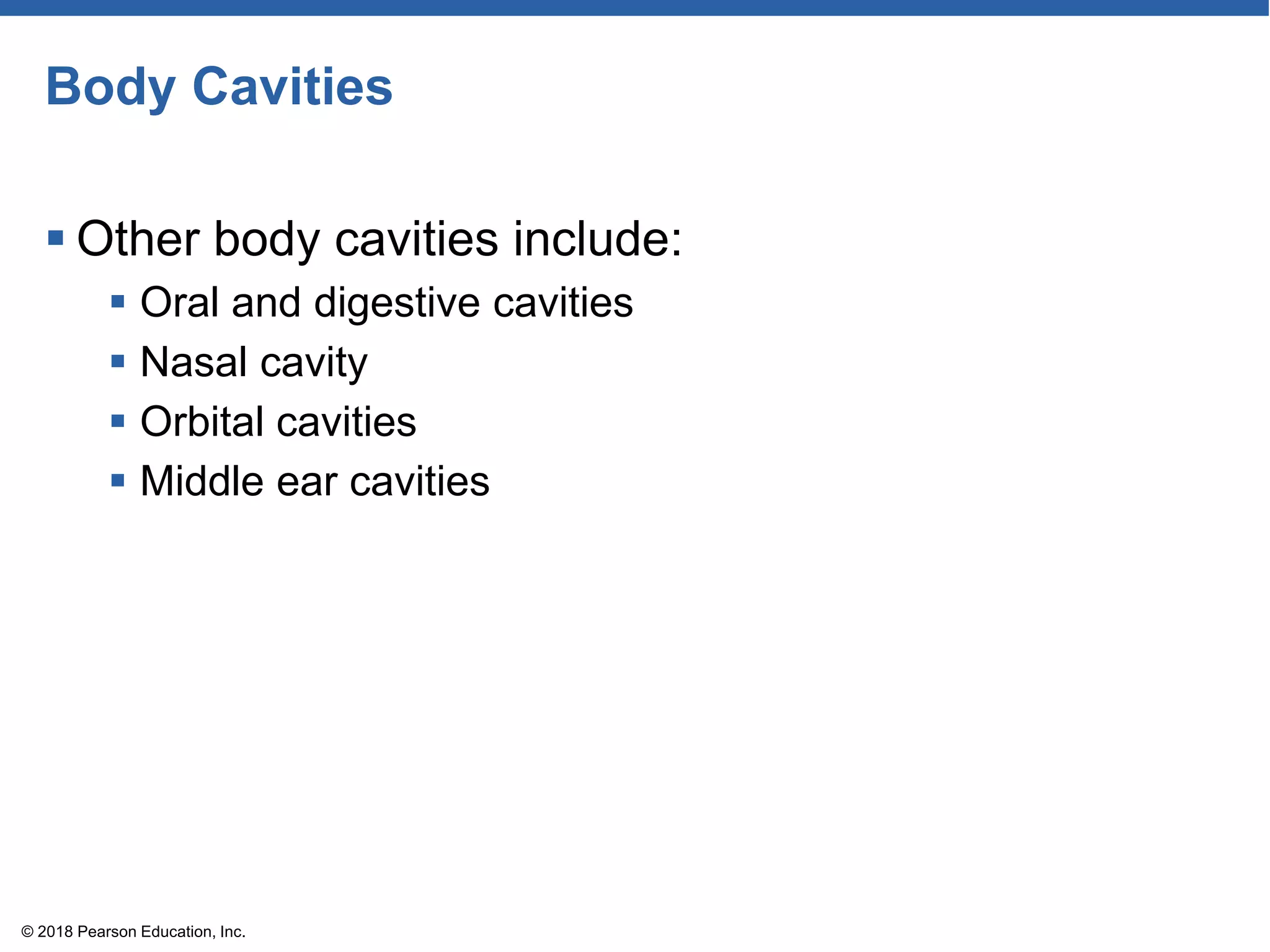 Body Cavities
 Other body cavities include:
 Oral and digestive cavities
 Nasal cavity
 Orbital cavities
 Middle ear cavities
© 2018 Pearson Education, Inc.
 