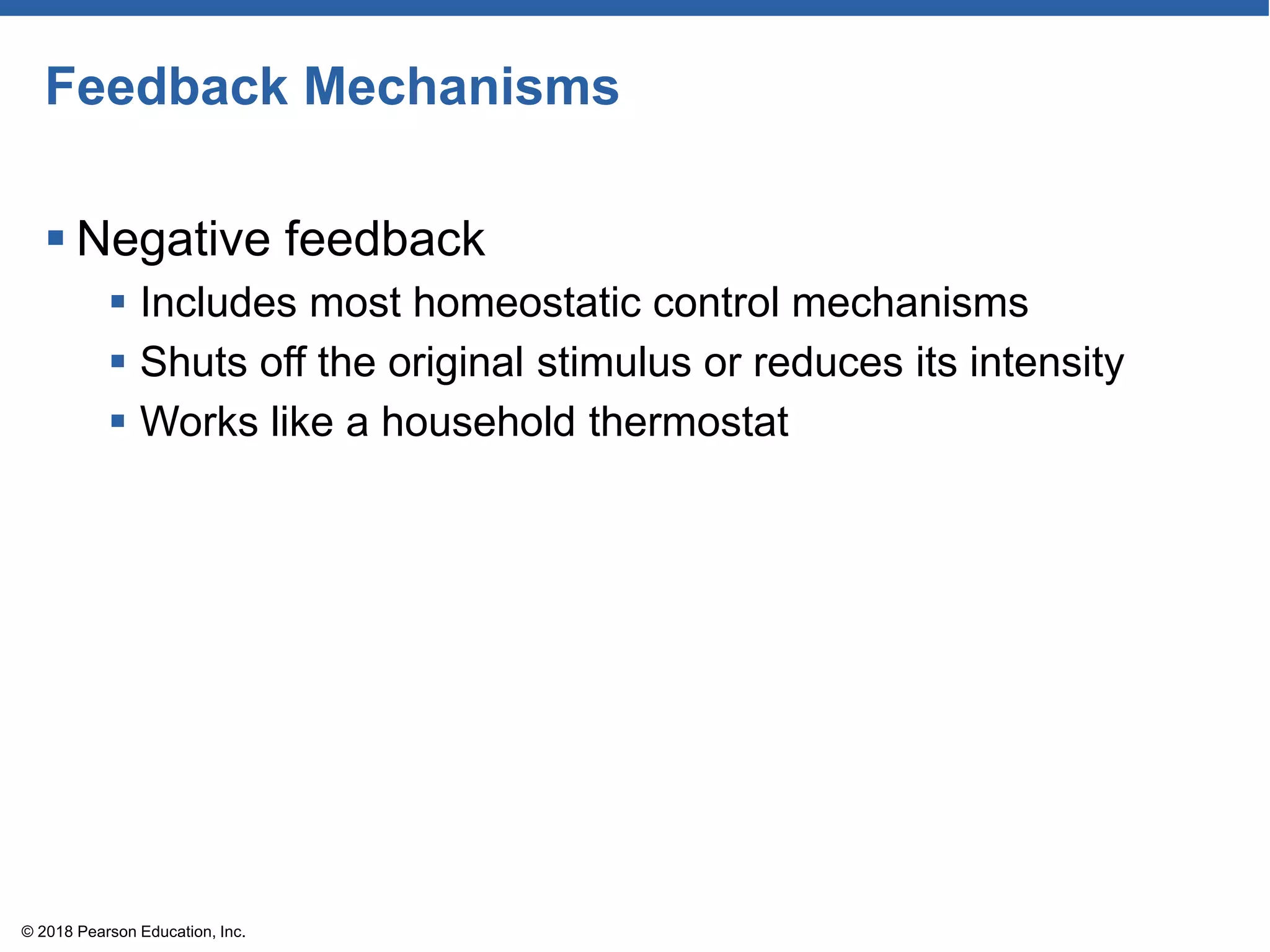 Feedback Mechanisms
 Negative feedback
 Includes most homeostatic control mechanisms
 Shuts off the original stimulus or reduces its intensity
 Works like a household thermostat
© 2018 Pearson Education, Inc.
 