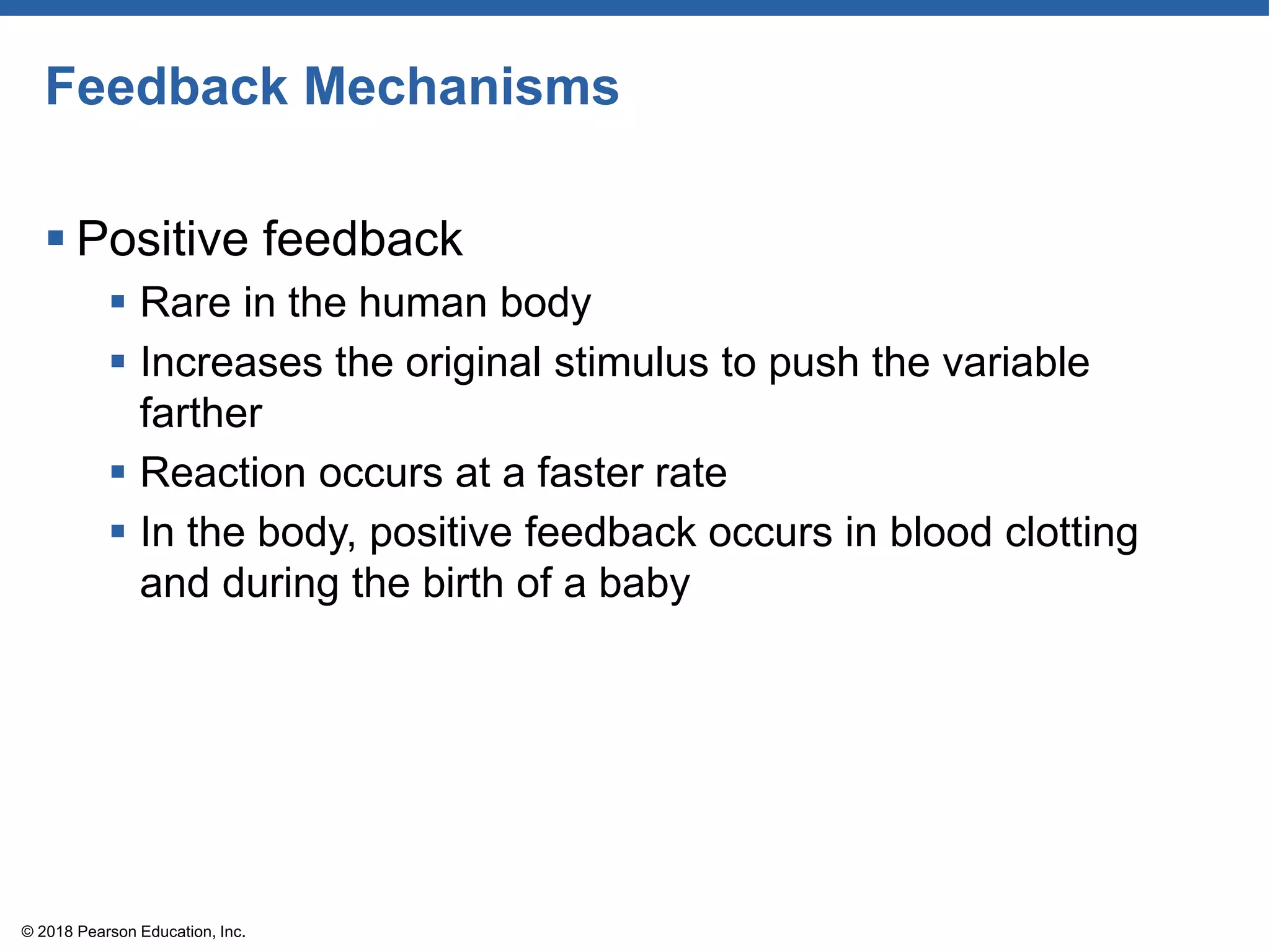Feedback Mechanisms
 Positive feedback
 Rare in the human body
 Increases the original stimulus to push the variable
farther
 Reaction occurs at a faster rate
 In the body, positive feedback occurs in blood clotting
and during the birth of a baby
© 2018 Pearson Education, Inc.
 