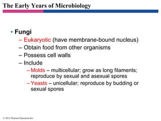 The Early Years of Microbiology
• Fungi
– Eukaryotic (have membrane-bound nucleus)
– Obtain food from other organisms
– Possess cell walls
– Include
– Molds – multicellular; grow as long filaments;
reproduce by sexual and asexual spores
– Yeasts – unicellular; reproduce by budding or
sexual spores
© 2012 Pearson Education Inc.
 