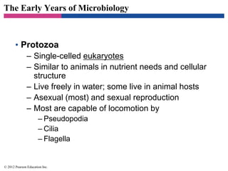 The Early Years of Microbiology
• Protozoa
– Single-celled eukaryotes
– Similar to animals in nutrient needs and cellular
structure
– Live freely in water; some live in animal hosts
– Asexual (most) and sexual reproduction
– Most are capable of locomotion by
– Pseudopodia
– Cilia
– Flagella
© 2012 Pearson Education Inc.
 