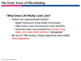 The Early Years of Microbiology
• What Does Life Really Look Like?
– Antoni van Leeuwenhoek (Dutch)
– Began making and using simple microscopes
– Often made a new microscope for each specimen
– Examined water and visualized tiny animals, fungi,
algae, and single-celled protozoa: “animalcules”
– By end of 19th century, these organisms were called
microorganisms
© 2012 Pearson Education Inc.
 