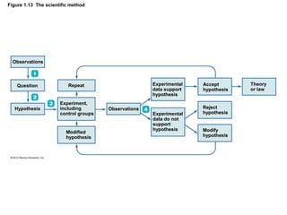 Figure 1.13 The scientific method
Observations
Question
Hypothesis
Repeat
Experiment,
including
control groups
Modified
hypothesis
Observations
Experimental
data support
hypothesis
Experimental
data do not
support
hypothesis
Accept
hypothesis
Reject
hypothesis
Modify
hypothesis
Theory
or law
 