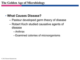 The Golden Age of Microbiology
• What Causes Disease?
– Pasteur developed germ theory of disease
– Robert Koch studied causative agents of
disease
– Anthrax
– Examined colonies of microorganisms
© 2012 Pearson Education Inc.
 