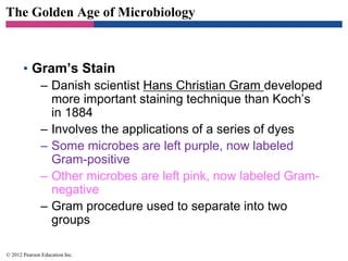 The Golden Age of Microbiology
• Gram’s Stain
– Danish scientist Hans Christian Gram developed
more important staining technique than Koch’s
in 1884
– Involves the applications of a series of dyes
– Some microbes are left purple, now labeled
Gram-positive
– Other microbes are left pink, now labeled Gram-
negative
– Gram procedure used to separate into two
groups
© 2012 Pearson Education Inc.
 