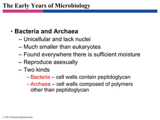 The Early Years of Microbiology
• Bacteria and Archaea
– Unicellular and lack nuclei
– Much smaller than eukaryotes
– Found everywhere there is sufficient moisture
– Reproduce asexually
– Two kinds
– Bacteria – cell walls contain peptidoglycan
– Archaea – cell walls composed of polymers
other than peptidoglycan
© 2012 Pearson Education Inc.
 