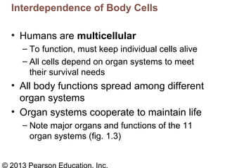 Ch1 Human body Part A | PPT