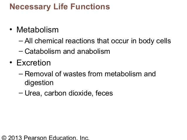 Ch1 Human body Part A