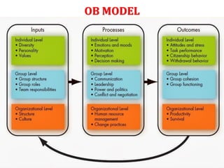 OB MODEL
 