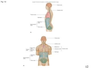 12
Fig. 1.9
 