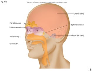 13
Fig. 1.10
 