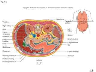 15
Fig. 1.12
 