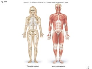 17
Fig. 1.14
 