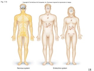18
Fig. 1.15
 