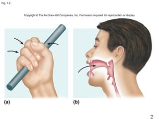 2
Fig. 1.2
 