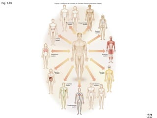 22
Fig. 1.19
 