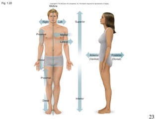 23
Fig. 1.20
 