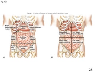 25
Fig. 1.24
 
