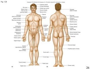 26
Fig. 1.25
 