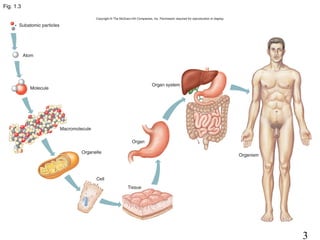 3
Fig. 1.3
 