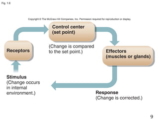 9
Fig. 1.6
 