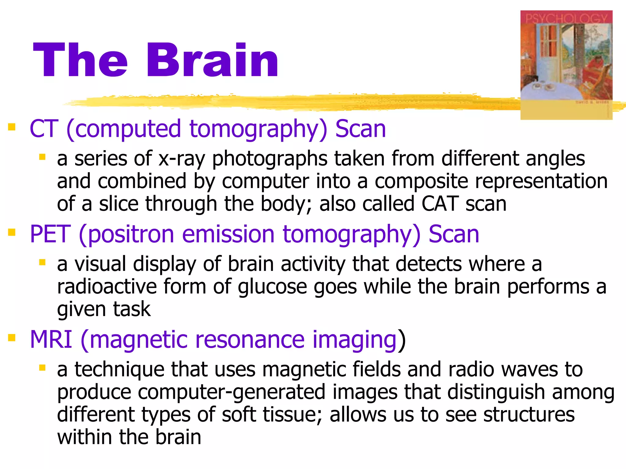 The Brain CT (computed tomography) Scan a series of x-ray photographs taken from different angles and combined by computer into a composite representation of a slice through the body; also called CAT scan PET (positron emission tomography) Scan   a visual display of brain activity that detects where a radioactive form of glucose goes while the brain performs a given task MRI (magnetic resonance imaging )  a technique that uses magnetic fields and radio waves to produce computer-generated images that distinguish among different types of soft tissue; allows us to see structures within the brain 