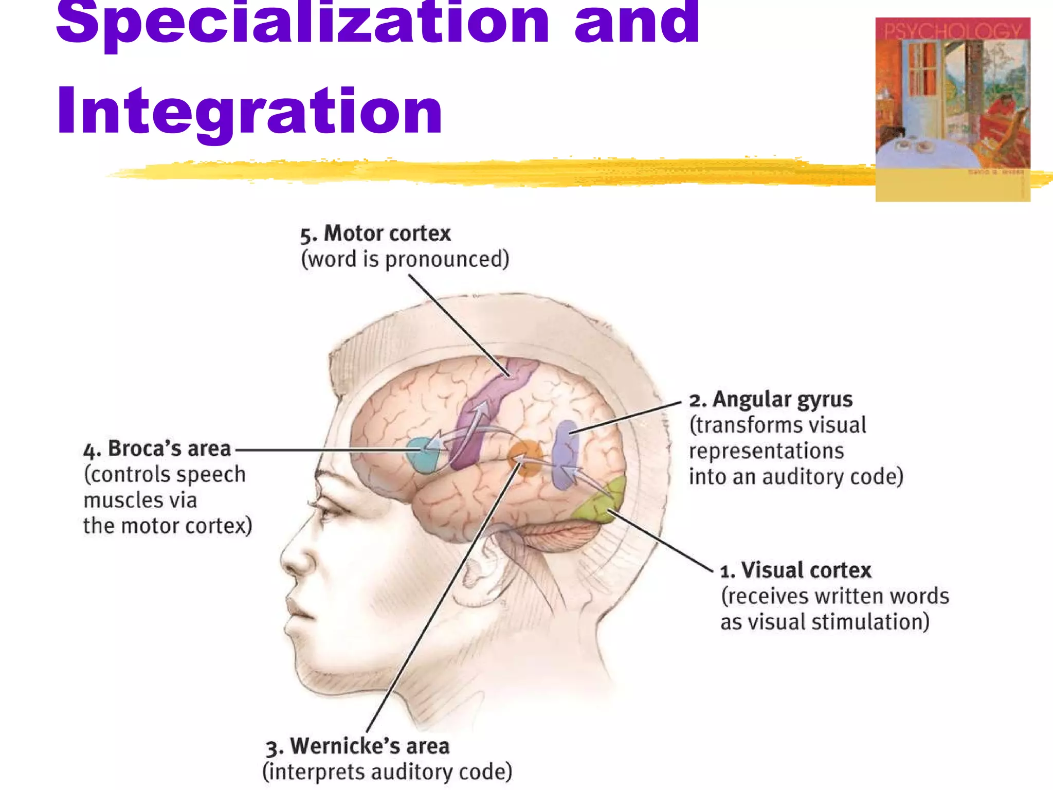 Specialization and Integration 