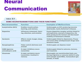 Neural Communication 