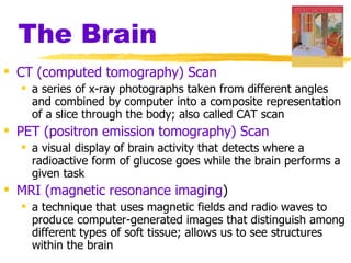 The Brain CT (computed tomography) Scan a series of x-ray photographs taken from different angles and combined by computer into a composite representation of a slice through the body; also called CAT scan PET (positron emission tomography) Scan   a visual display of brain activity that detects where a radioactive form of glucose goes while the brain performs a given task MRI (magnetic resonance imaging )  a technique that uses magnetic fields and radio waves to produce computer-generated images that distinguish among different types of soft tissue; allows us to see structures within the brain 