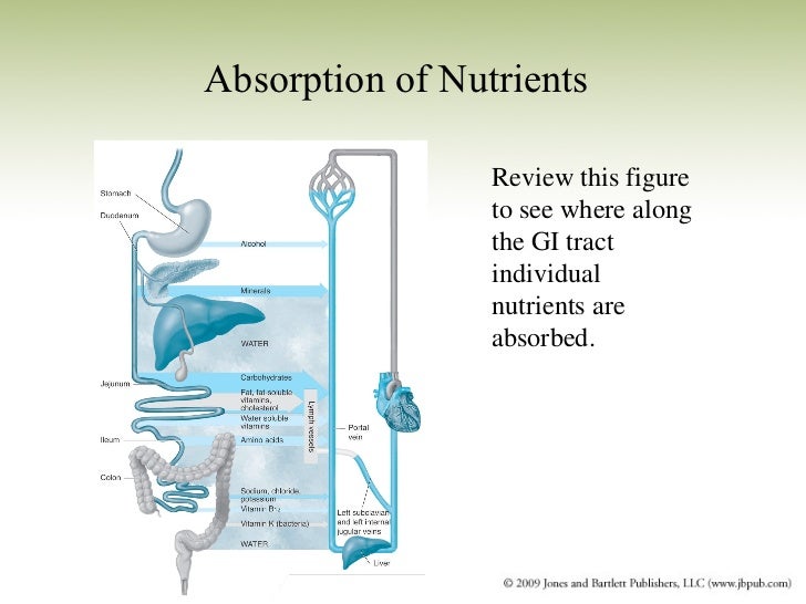 Sports Nutrition_Chapter 2_Nutrients