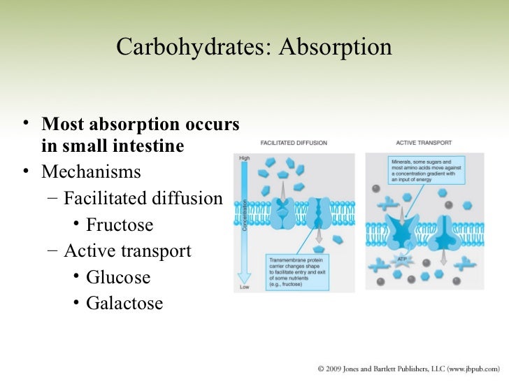 Sports Nutrition_Chapter 2_Nutrients