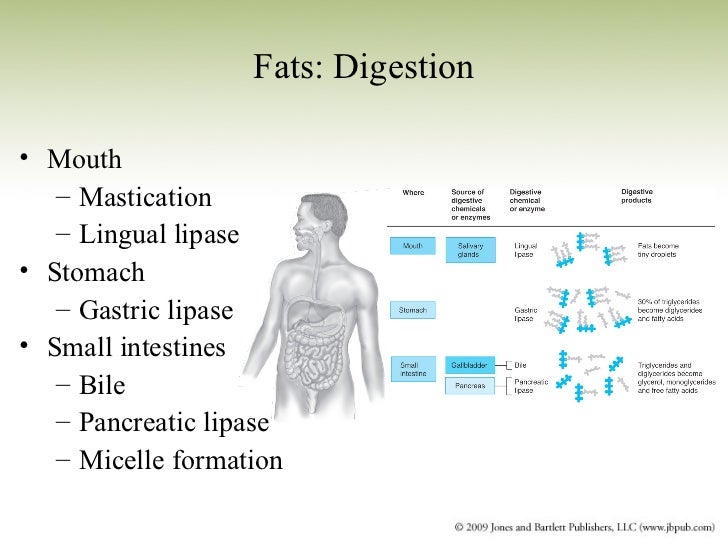 Sports Nutrition_Chapter 2_Nutrients