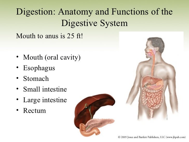 Sports Nutrition_Chapter 2_Nutrients
