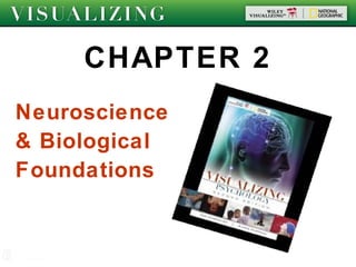 CHAPTER 2
Neuroscience
& Biological
Foundations
 